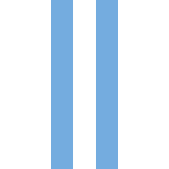 Bandera: Bandera vertical con potencia Argentina | bandera vertical | 3.5m²  | 300x120cm