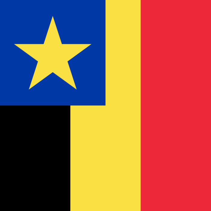 Drapeau: Kinshasa, République démocratique du Congo, drapeau paysage, 1.35m²