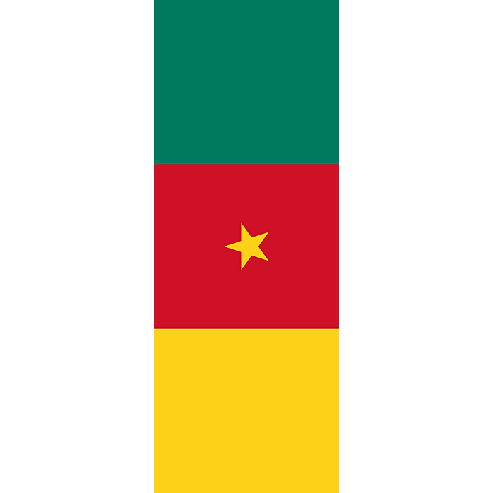 Drapeau: Angola, portrait flag, 6m²