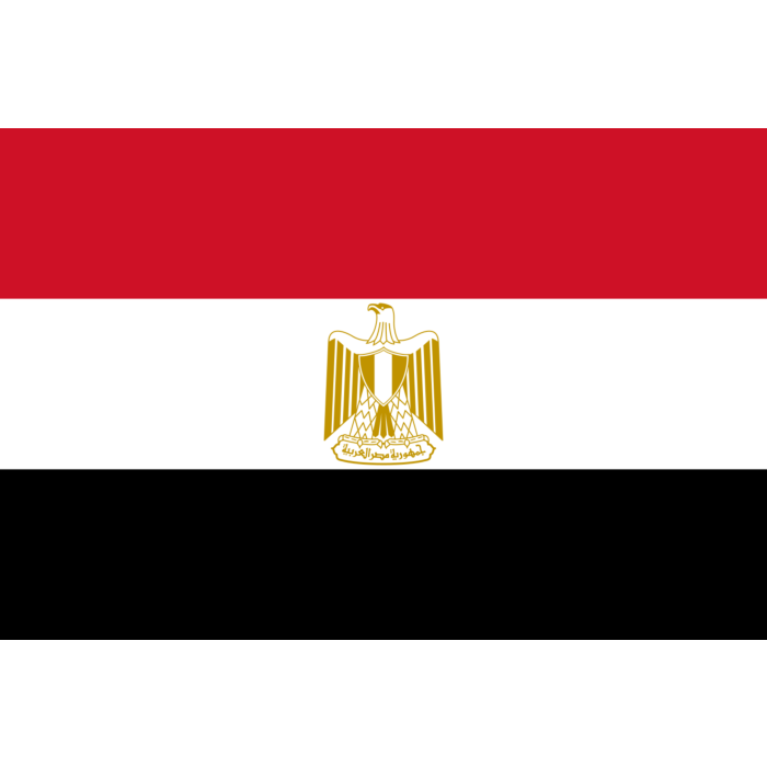 Drapeau Egypte, Pixelsquid Y compris : drapeau et pays - Envato