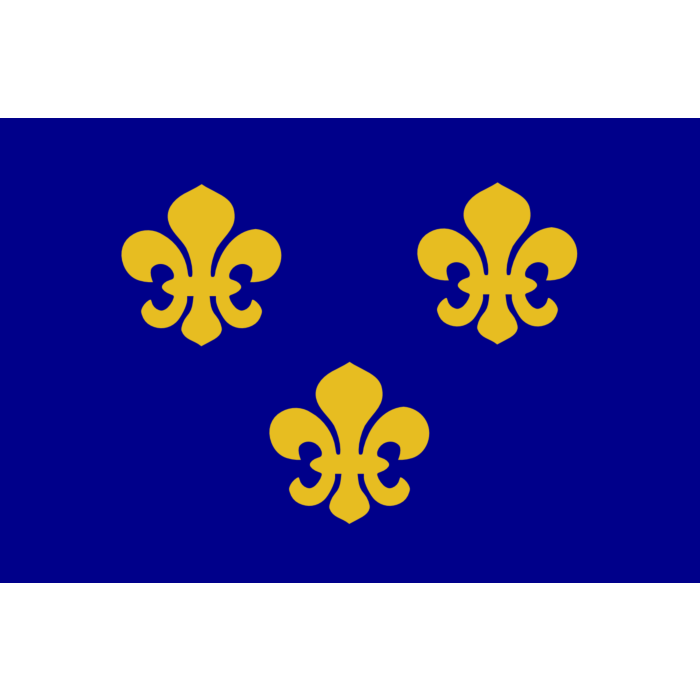 Flag: Medieval France | Present day s Île-de-France In 1328, the  coat-of-arms of the House of Valois was blue with gold fleurs-de-lis  bordered in red | landscape flag | 1.35m² | 14.5sqft |