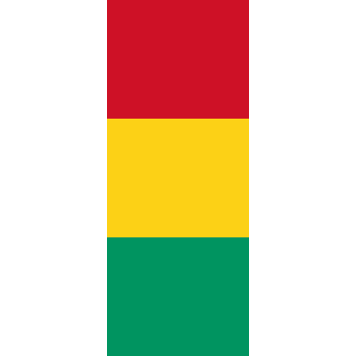 Drapeau: Guinée, portrait flag, 3.5m²
