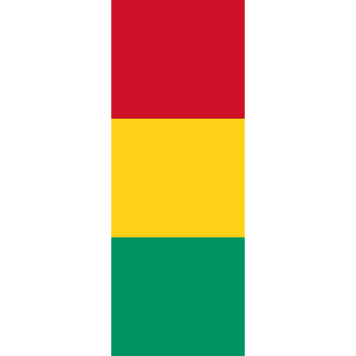 Drapeau: Guinée | portrait flag | 6m² | 400x150cm