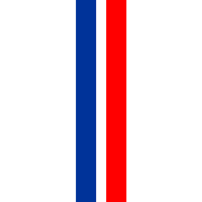 Flag: Schaan | portrait flag | 3.75m² | 40sqft | 150x250cm | 5x8ft