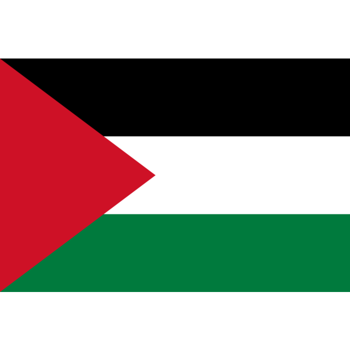 Bandera: Palestina, bandera paisaje, 1.5m²