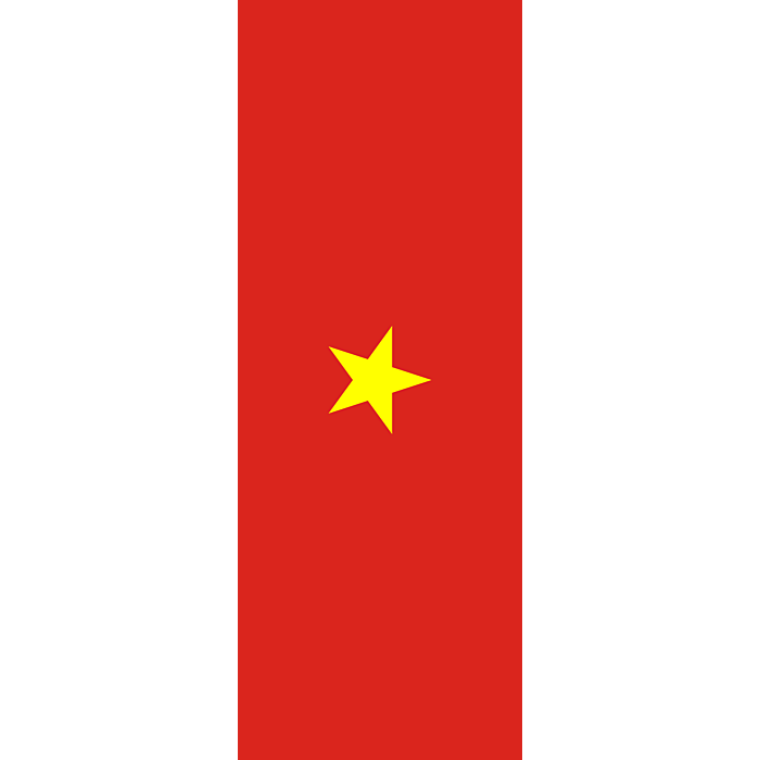 Drapeau: Afrique du Sud, portrait flag, 6m²