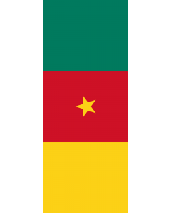 Drapeau: bannière drapau avec tunnel et avec crochets Cameroun |  portrait flag | 3.5m² | 300x120cm 