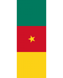 Drapeau: bannière drapau avec tunnel et avec crochets Cameroun |  portrait flag | 6m² | 400x150cm 