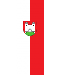 Flag: Besigheim |  portrait flag | 6m² | 64sqft | 400x150cm | 13x5ft 