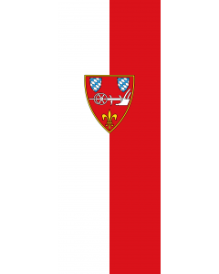 Flag: Straubing |  portrait flag | 6m² | 64sqft | 400x150cm | 13x5ft 