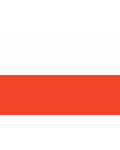 Flag: Thuringia |  landscape flag | 0.06m² | 0.65sqft | 20x30cm | 8x12in 