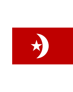 Flag: Umm al-Quwain |  landscape flag | 0.24m² | 2.5sqft | 35x70cm | 15x30inch 
