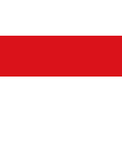 Flag: Salzburg (state) |  landscape flag | 6.7m² | 72sqft | 200x335cm | 6x11ft 