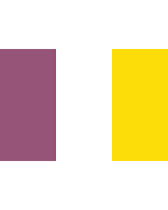 Flag: Belgian commune of Ath (Aat) |  landscape flag | 1.35m² | 14.5sqft | 90x150cm | 3x5ft 