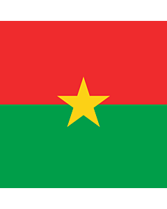 Flag: Presidential Standard of Burkina Faso |  0.06m² | 0.65sqft | 25x25cm | 10x10inch 