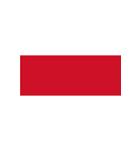 Flagge: Large Bahrain  1820-1932 | Bahrain from 1820 to 1932  |  Querformat Fahne | 1.35m² | 65x200cm 
