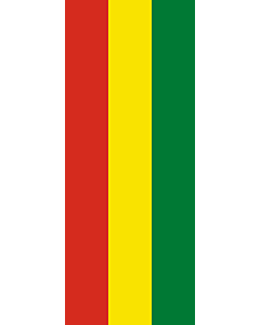 Bandera: Bandera vertical con manga cerrada para potencia Bolivia |  bandera vertical | 3.5m² | 300x120cm 