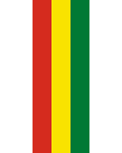 Bandera: Bandera vertical con potencia Bolivia |  bandera vertical | 6m² | 400x150cm 