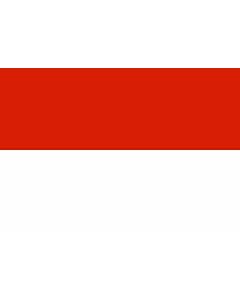 Bandiera: Tarija |  bandiera paesaggio | 1.35m² | 90x150cm 