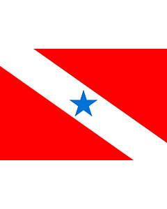 Bandiera: Pará |  bandiera paesaggio | 0.24m² | 40x60cm 