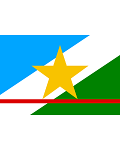 Flag: Roraima |  landscape flag | 0.24m² | 2.5sqft | 40x60cm | 1.3x2foot 