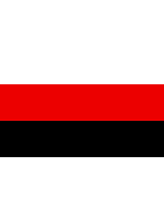 Flagge: Large Partit Llibertat Bielorus | Partit de la Llibertat Bielorus  |  Querformat Fahne | 1.35m² | 90x150cm 