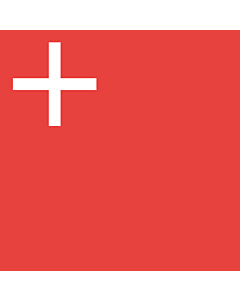 Flag: Schwyz |  0.24m² | 2.5sqft | 50x50cm | 20x20inch 