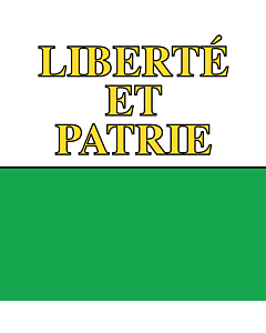 Bandera: República y cantón de Vaud |  0.24m² | 50x50cm 