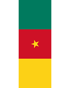 Drapeau: Cameroun, portrait flag, 3.5m²
