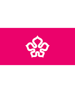 Flagge: Large HKUrbanCouncil  |  Querformat Fahne | 1.35m² | 90x150cm 