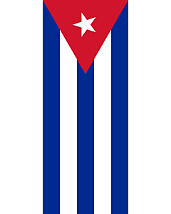 Bandera: Bandera vertical con potencia Cuba |  bandera vertical | 3.5m² | 300x120cm 