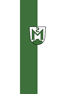 Flag: Magstadt |  portrait flag | 6m² | 64sqft | 400x150cm | 13x5ft 