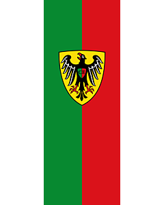 Ausleger-Flagge:  Esslingen am Neckar  |  Hochformat Fahne | 6m² | 400x150cm 