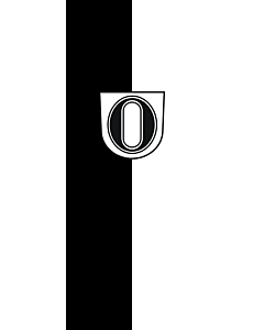 Bandera: Bandera vertical con potencia Owen |  bandera vertical | 3.5m² | 300x120cm 