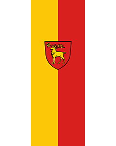 Flag: Sigmaringen |  portrait flag | 6m² | 64sqft | 400x150cm | 13x5ft 