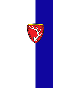 Bandera: Bandera vertical con potencia Sachsenkam |  bandera vertical | 3.5m² | 300x120cm 