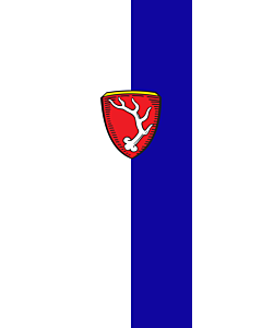 Vertical Hanging Swivel Crossbar Banner Flag: Sachsenkam |  portrait flag | 6m² | 64sqft | 400x150cm | 13x5ft 