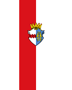 Flag: Markt Indersdorf, M |  portrait flag | 6m² | 64sqft | 400x150cm | 13x5ft 