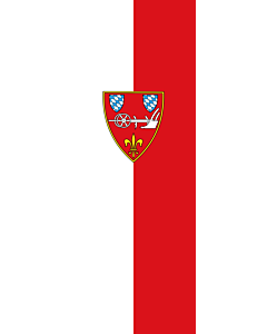 Vertical Hanging Swivel Crossbar Banner Flag: Straubing |  portrait flag | 6m² | 64sqft | 400x150cm | 13x5ft 