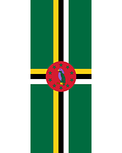 Bandera: Bandera vertical con potencia Dominica |  bandera vertical | 3.5m² | 300x120cm 