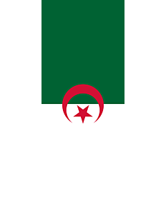 Bandera: Bandera vertical con potencia Argelia |  bandera vertical | 3.5m² | 300x120cm 