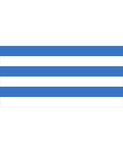 Flag: Tallinn, Estonia; blue PMS 285 |  landscape flag | 1.35m² | 14.5sqft | 80x160cm | 30x60inch 