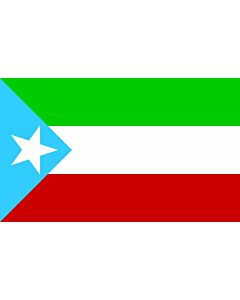 Flag: Somali region old |  landscape flag | 2.16m² | 23sqft | 100x200cm | 40x80inch 