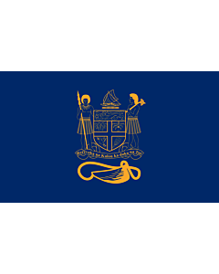 Flagge: Large Presidential Standard of Fiji | Standard of the President of Fiji bearing the full Coat of Arms of Fiji and a traditional Knot and Whale s tooth in Golden-Yellow  |  Querformat Fahne | 1.35m² | 90x150cm 