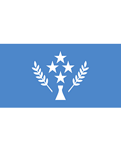 Flag: Kosrae  |  landscape flag | 2.16m² | 23sqft | 110x200cm | 40x80inch 