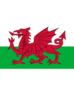Flag: Wales |  landscape flag | 0.24m² | 2.5sqft | 40x60cm | 1.3x2foot 