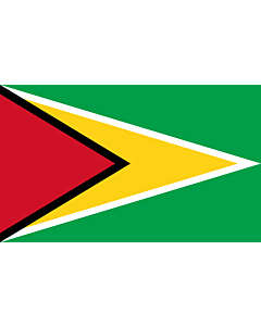 Flag: Guyana |  landscape flag | 1.35m² | 14.5sqft | 90x150cm | 3x5ft 