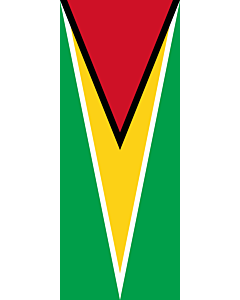 Vertical Hanging Beam Flag: Guyana |  portrait flag | 3.5m² | 38sqft | 300x120cm | 10x4ft 