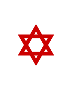 Flagge: Large Red Star of David  |  Querformat Fahne | 1.35m² | 90x150cm 