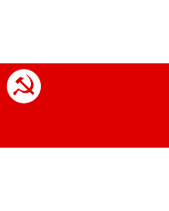 Bandera: RSP |  bandera paisaje | 1.35m² | 80x160cm 